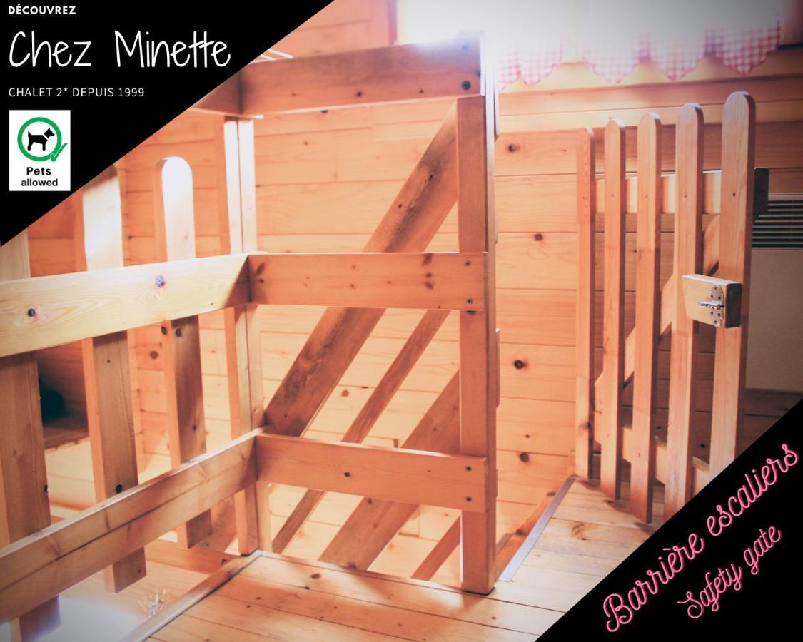 Le "Chalet De Minette" 2 Etoiles La Bresse Ngoại thất bức ảnh