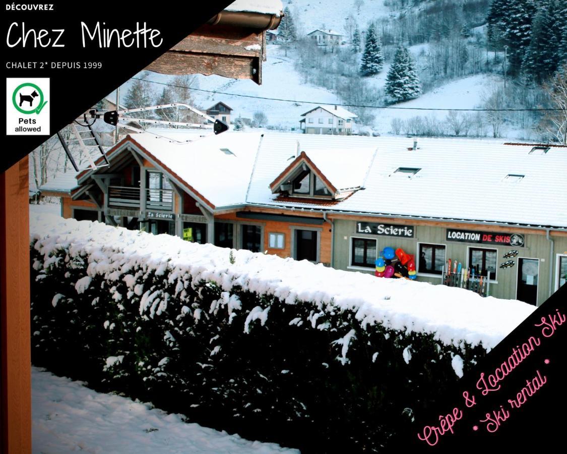 Le "Chalet De Minette" 2 Etoiles La Bresse Ngoại thất bức ảnh