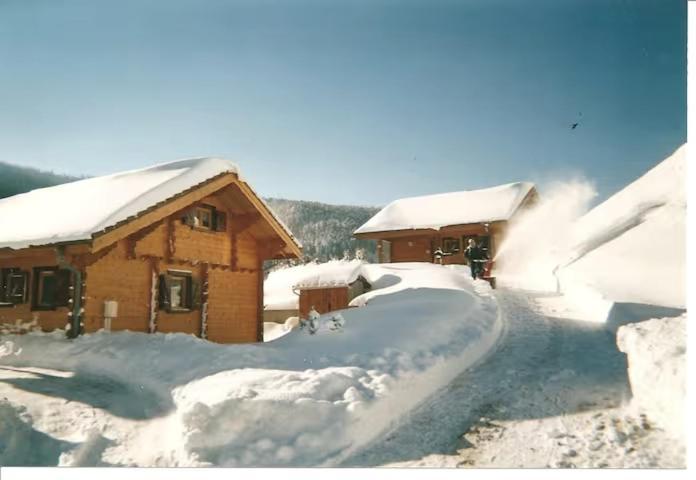 Le "Chalet De Minette" 2 Etoiles La Bresse Ngoại thất bức ảnh