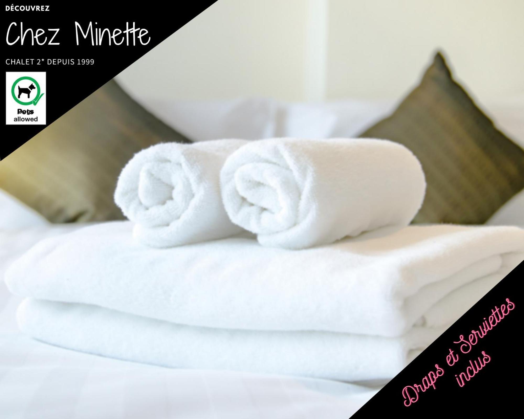 Le "Chalet De Minette" 2 Etoiles La Bresse Ngoại thất bức ảnh
