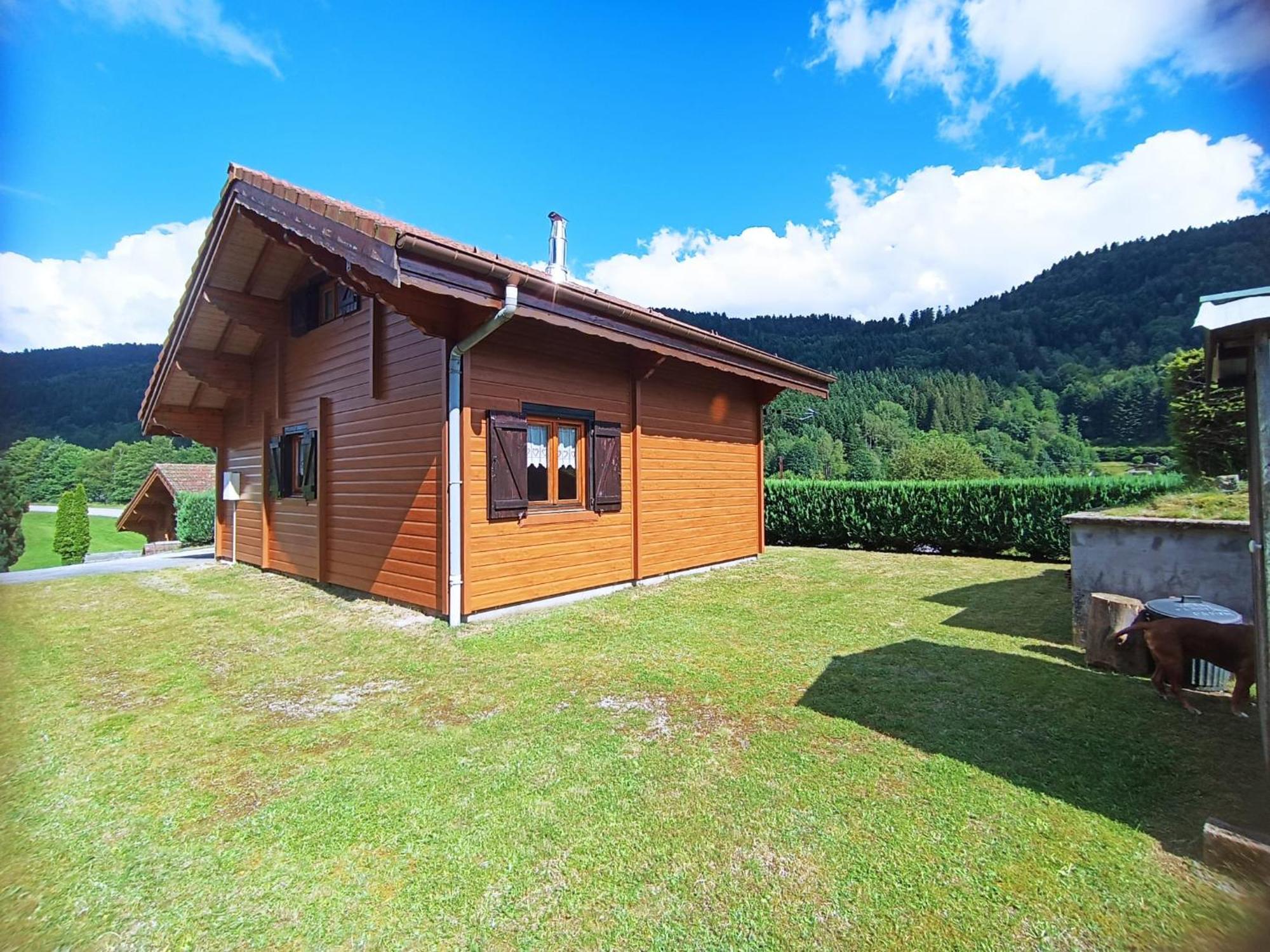 Le "Chalet De Minette" 2 Etoiles La Bresse Ngoại thất bức ảnh